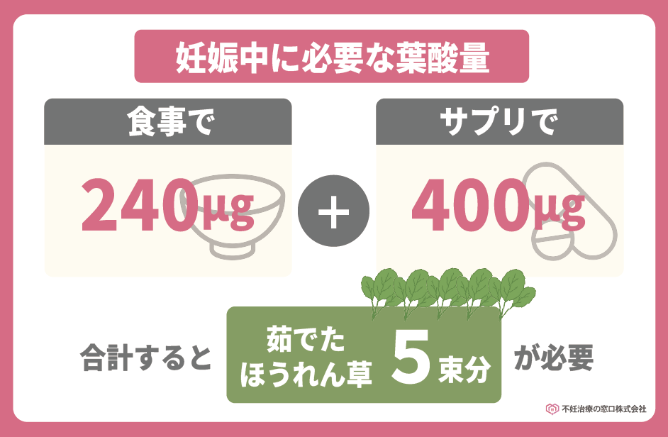必要な葉酸量