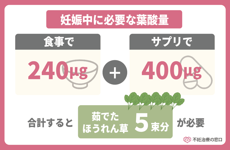 必要な葉酸量