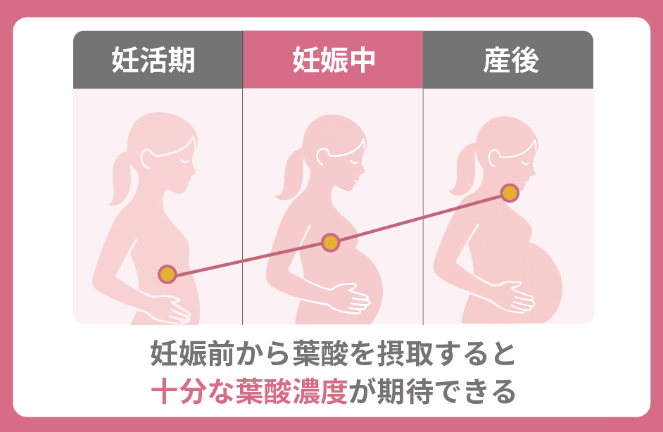 葉酸濃度