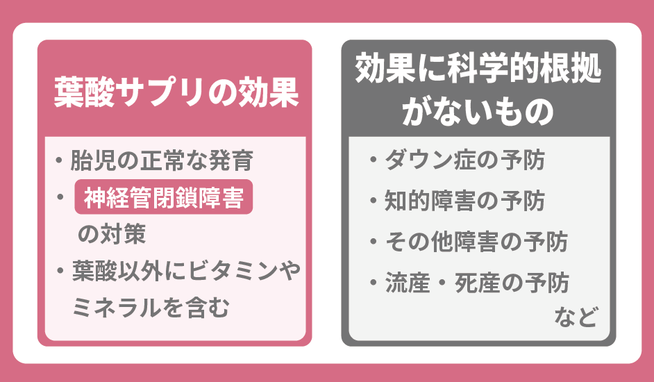 葉酸サプリの効果