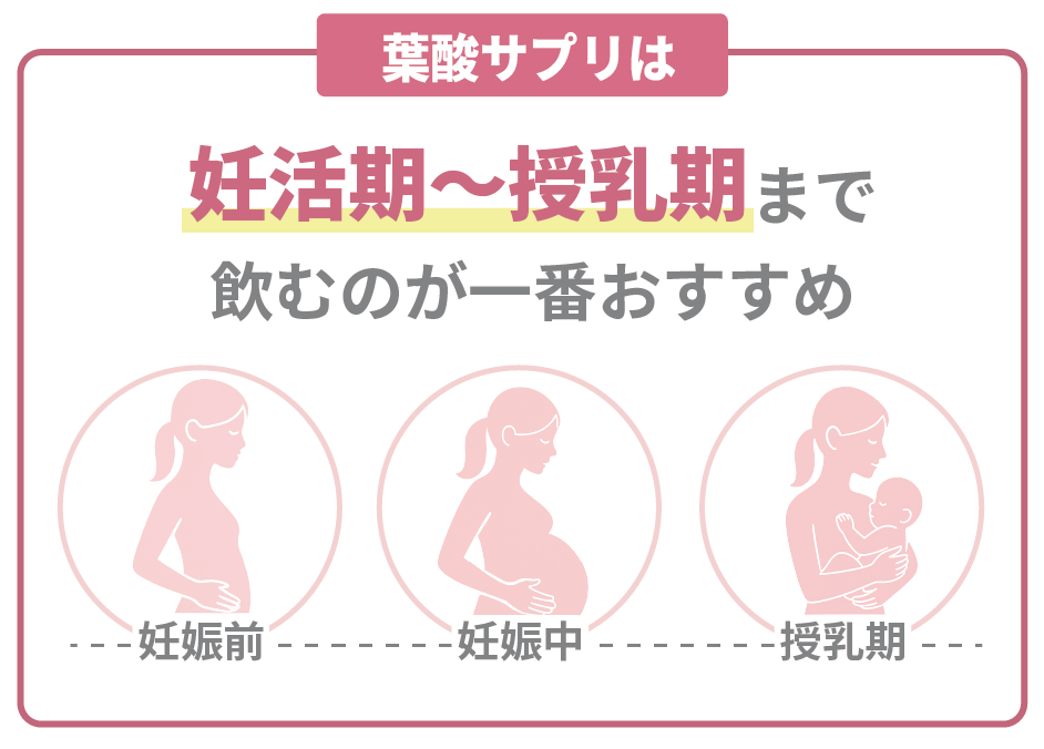葉酸サプリは妊活期~授乳期に飲むのがおすすめ