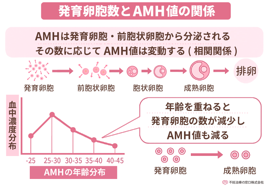 発育卵胞数とAMH値の関係