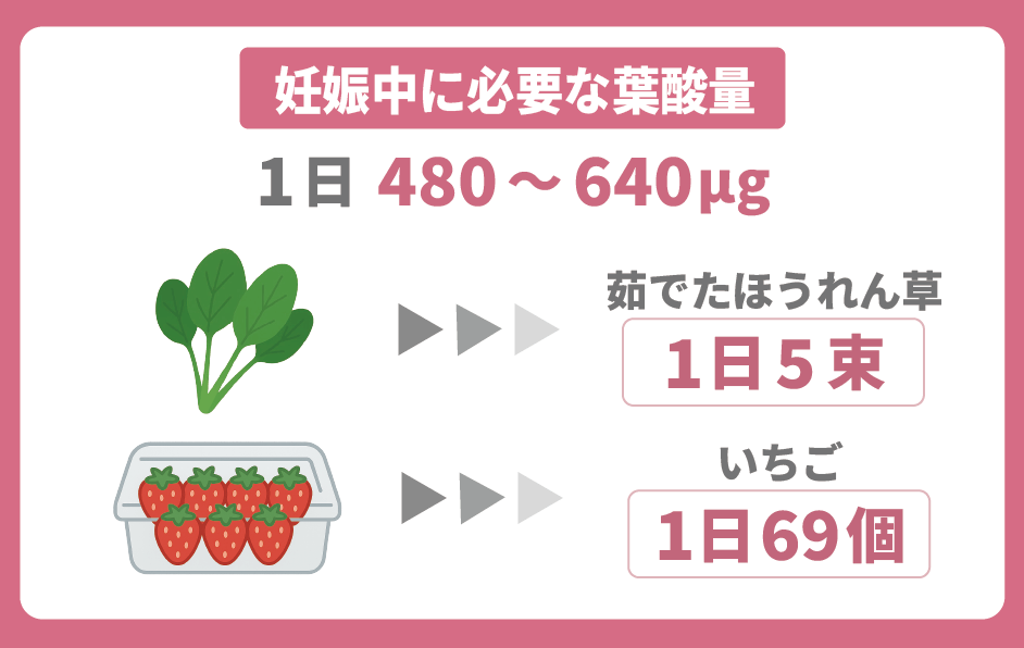 女性がとるべき葉酸量