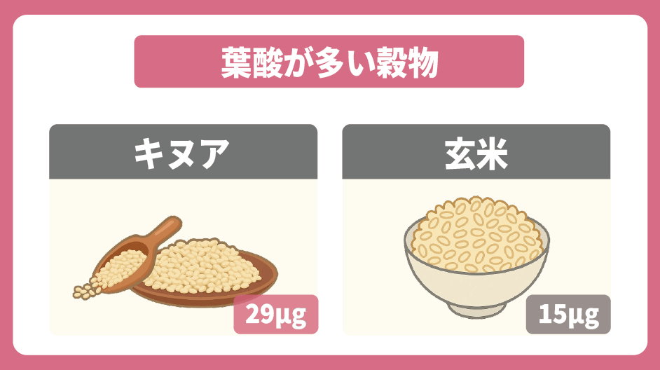 葉酸が多い穀物