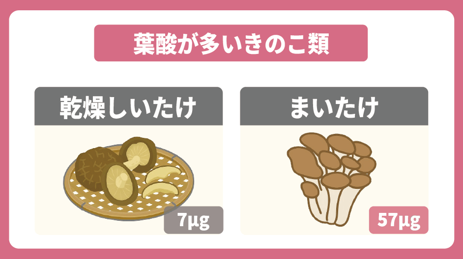 葉酸が多いきのこ類