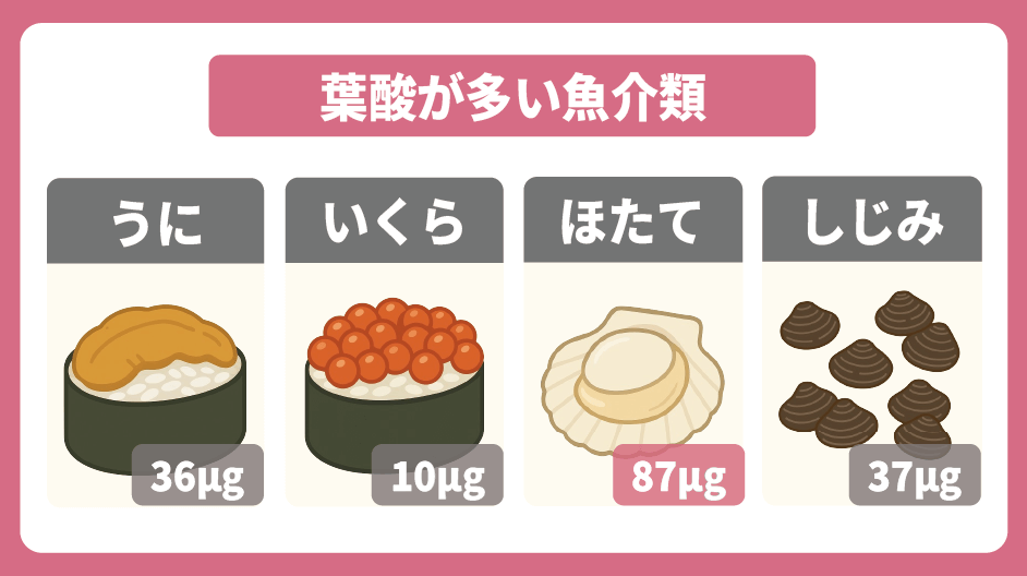 葉酸が多い魚介類