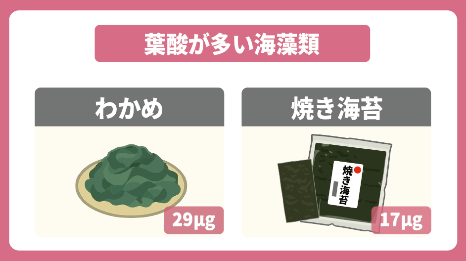 葉酸が多い海藻類