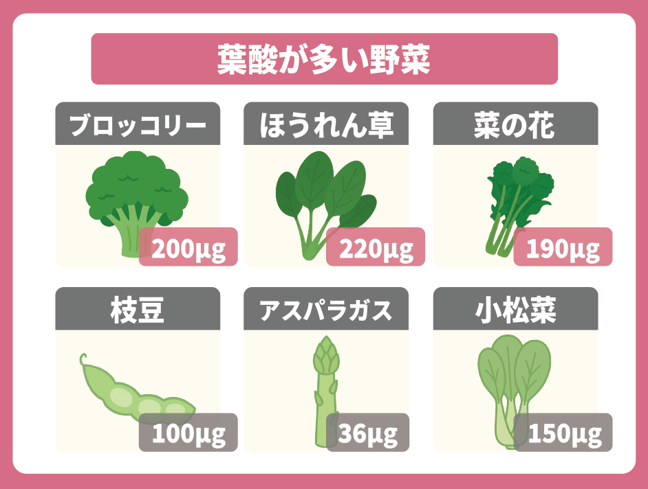 葉酸が多い野菜