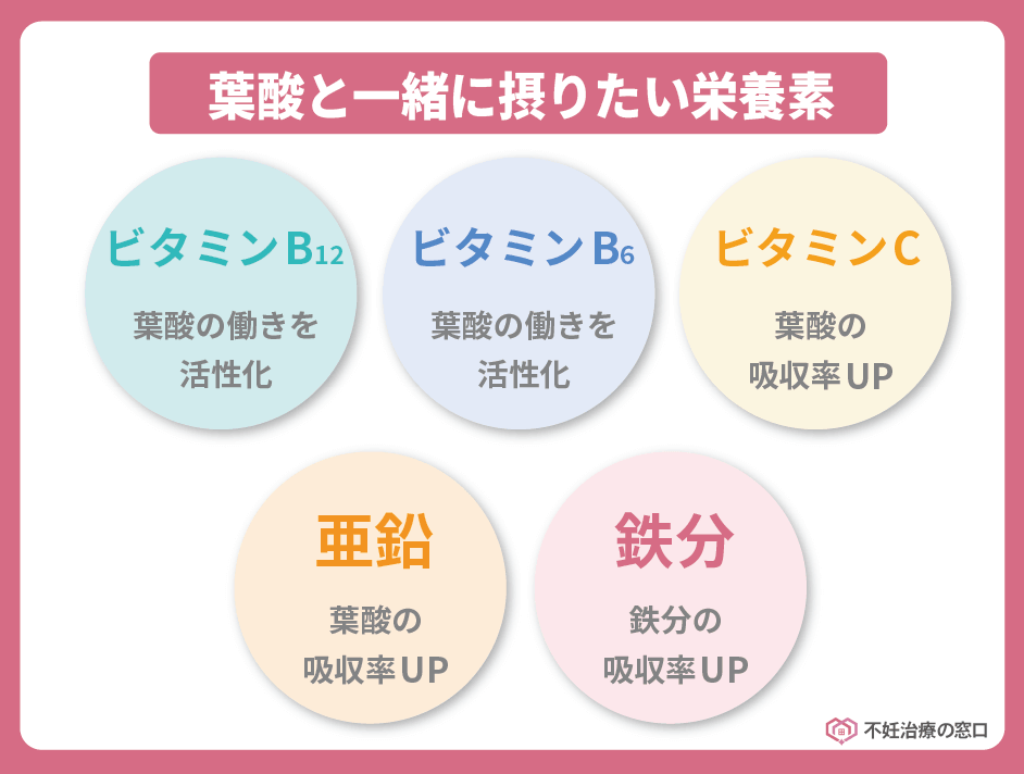 葉酸と一緒に摂りたい栄養素