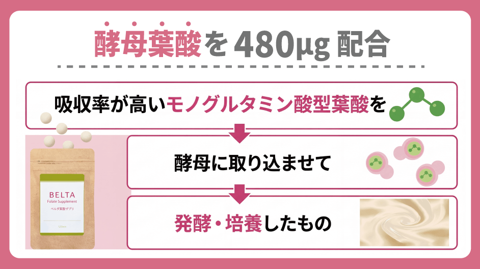 ベルタ葉酸サプリは酵母葉酸を配合