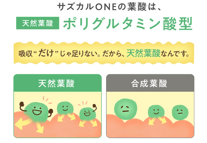 サズカルONEは天然葉酸を配合