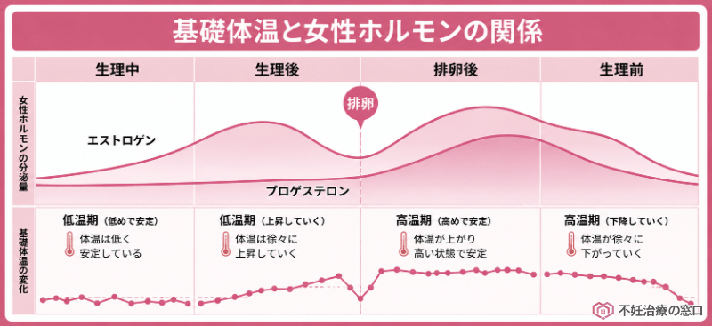 基礎体温と女性ホルモンの関係を示した図