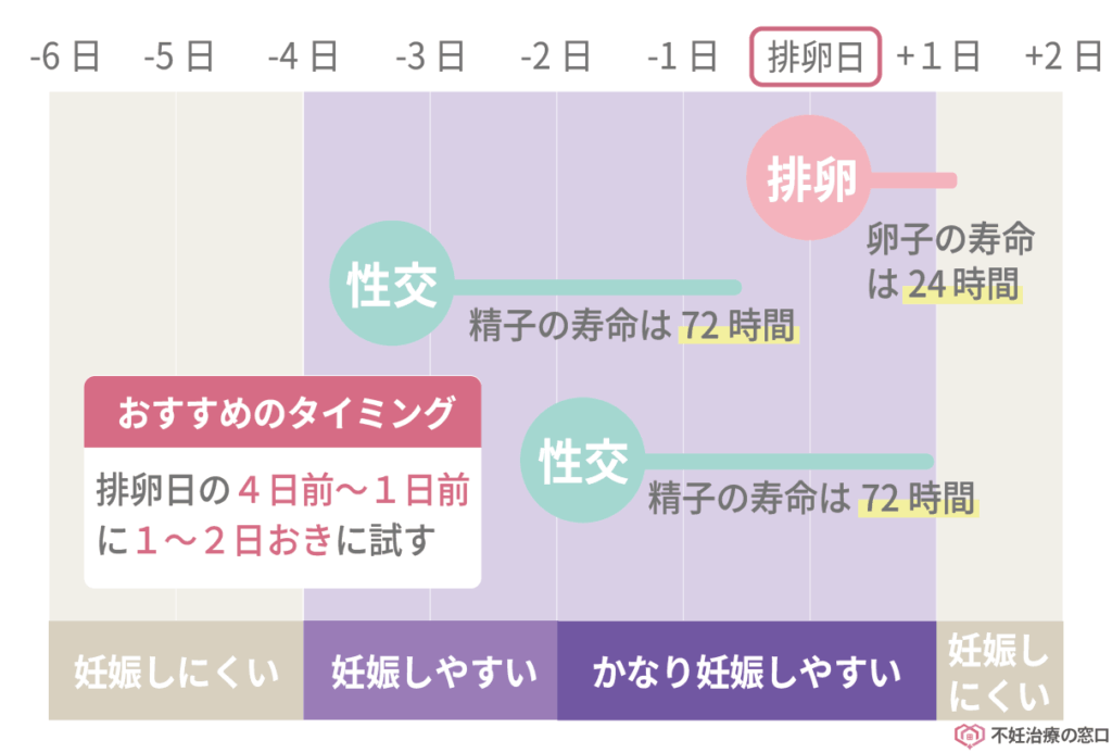 妊娠しやすいタイミング