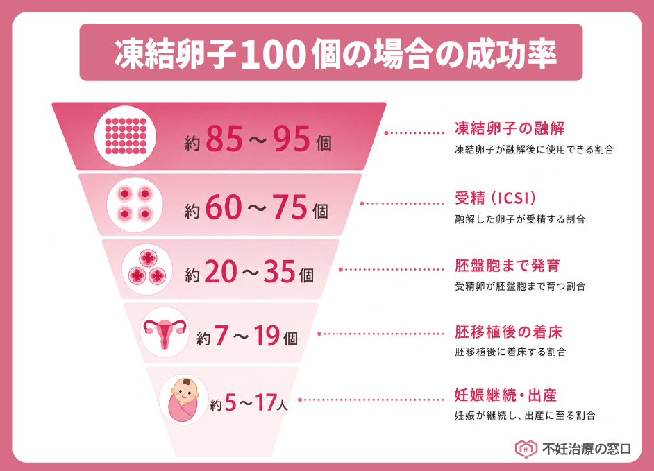100個の凍結卵子がある場合のイメージ