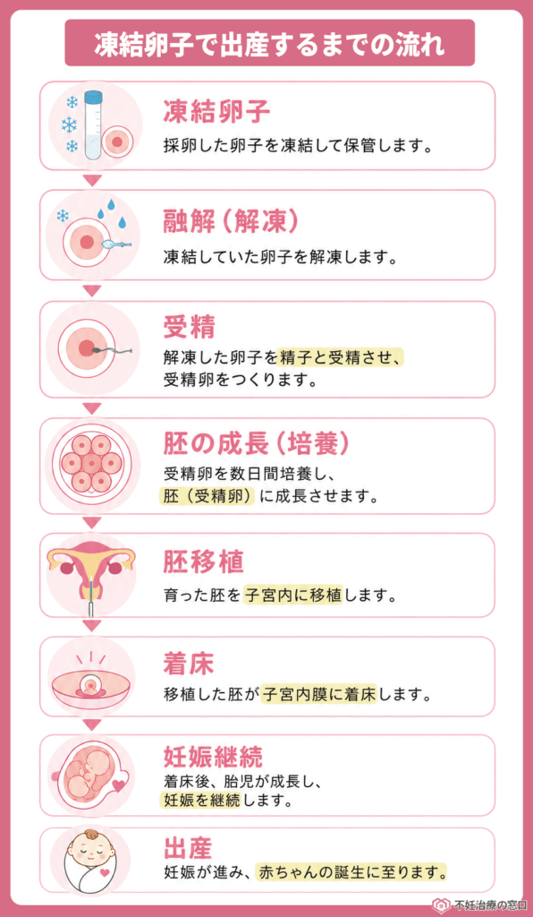 凍結卵子で妊娠するまでの流れ