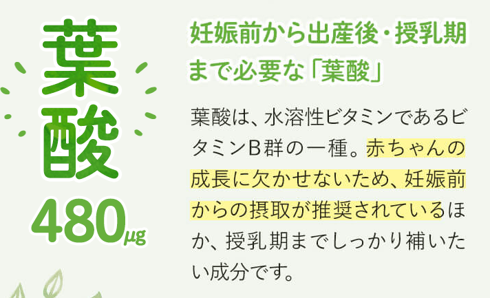ママルラに含まれる葉酸