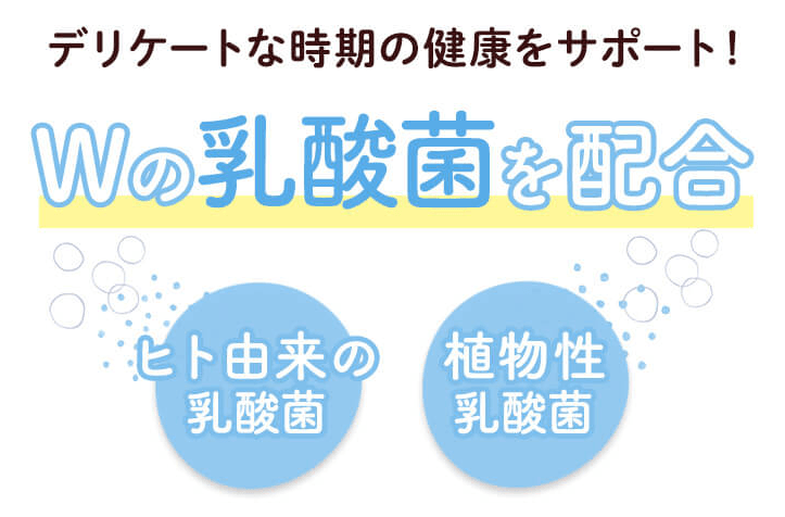 ママルラに含まれる乳酸菌